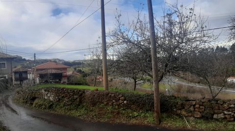 FINCA EDIFICABLE AL LADO DE RIBADESELLA, imagen 4