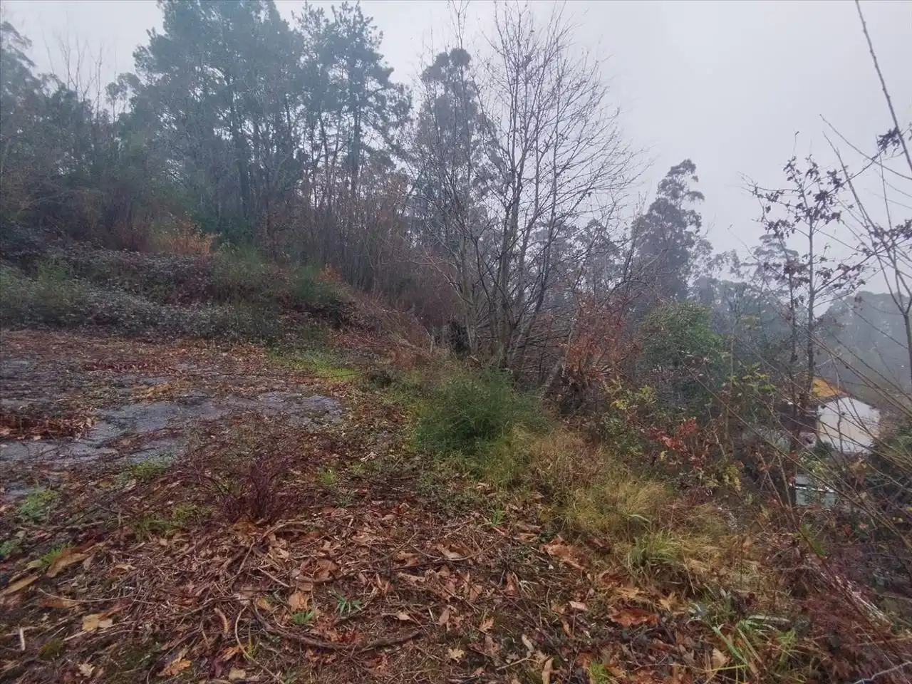 Terrain rustique à vendre à Tomiño