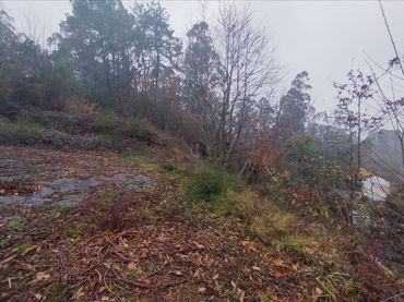 Terreno rustico in vendita a Tomiño