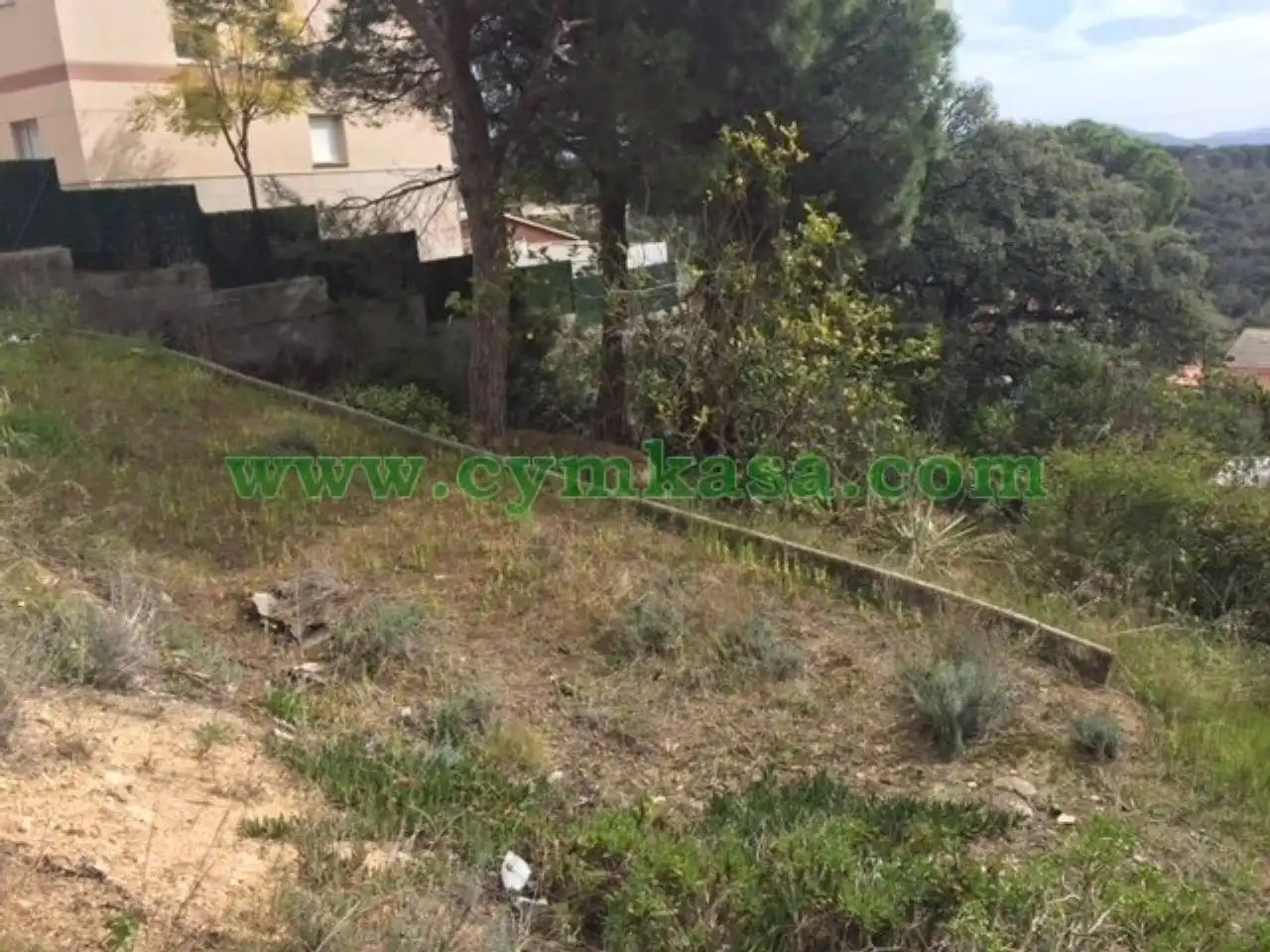 Terreno rustico in vendita a Mas Mora - Sant Daniel, imagen 5