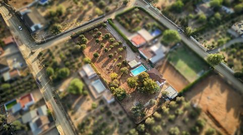 Photo 2 of Country homes for sale in Urb Santa Iglesia, Almensilla, Sevilla