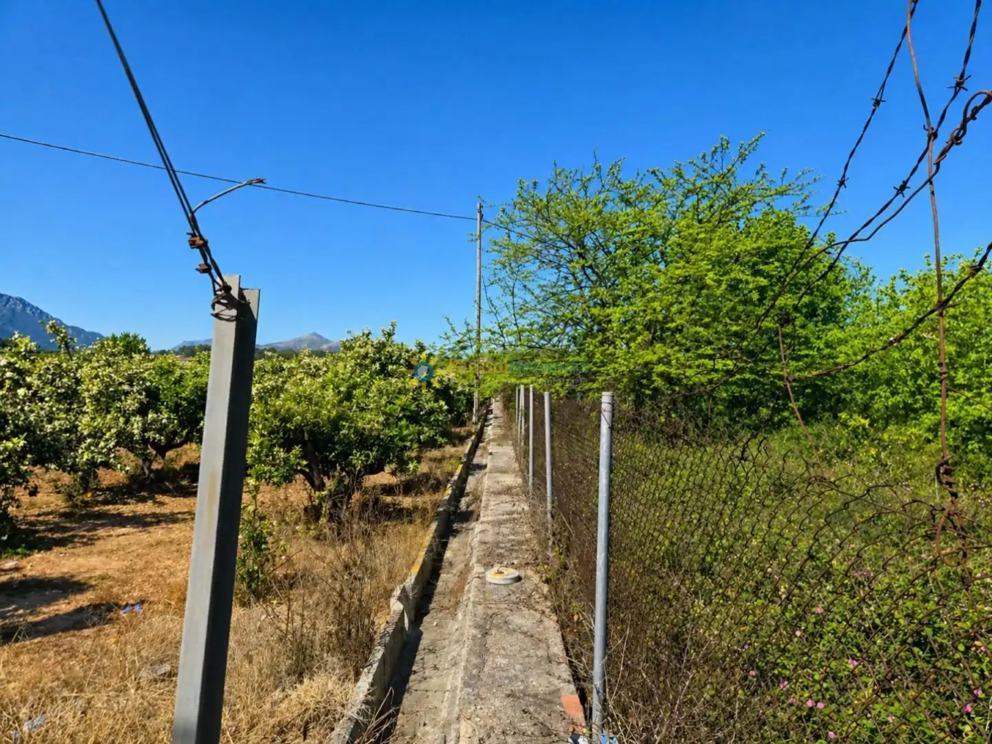 Terreny rústic en venda a La Font d'en Carròs, imagen 5