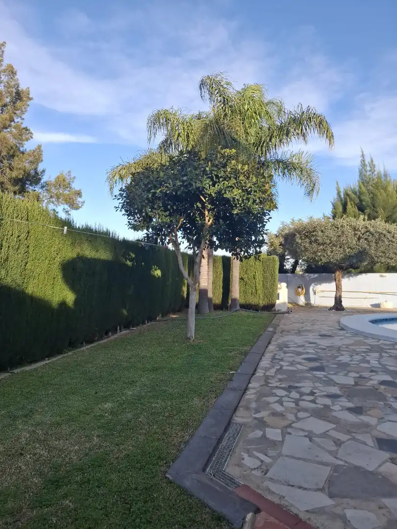 Detached house with pool for sale in Carrer Artemis, imagen 4