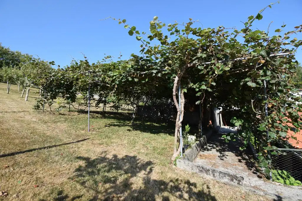 Jardí de Casa o xalet en venda en Pontedeume amb Calefacció, Jardí privat i Moblat