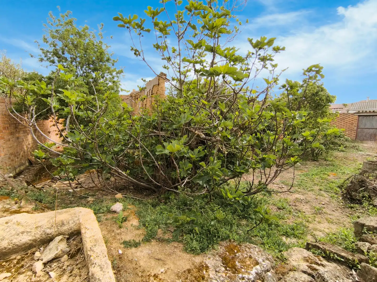 Casa o xalet en venda en Pedraza de Campos amb Calefacció, Jardí privat i Traster
