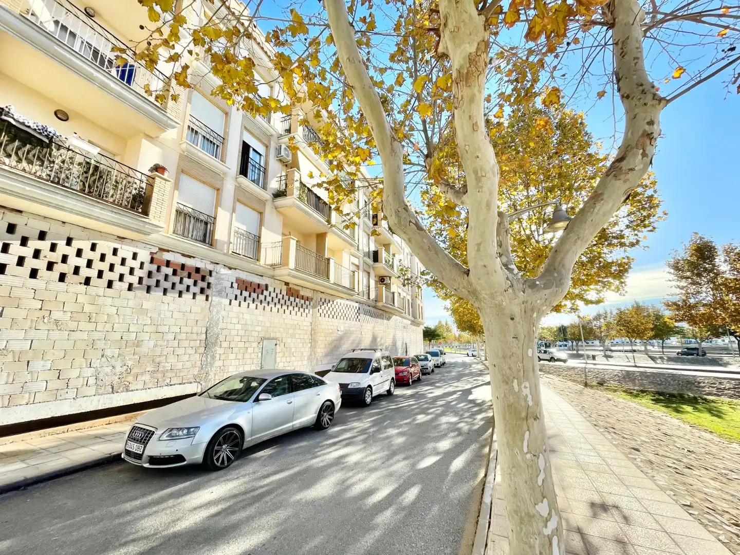 Flat with terrace to rent in Pilar de la Horadada ciudad, imagen 25