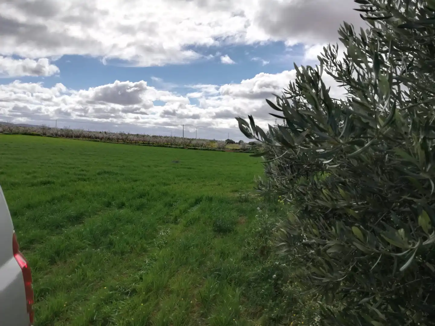 Terrenys i solars en venda a Mora, imagen 11