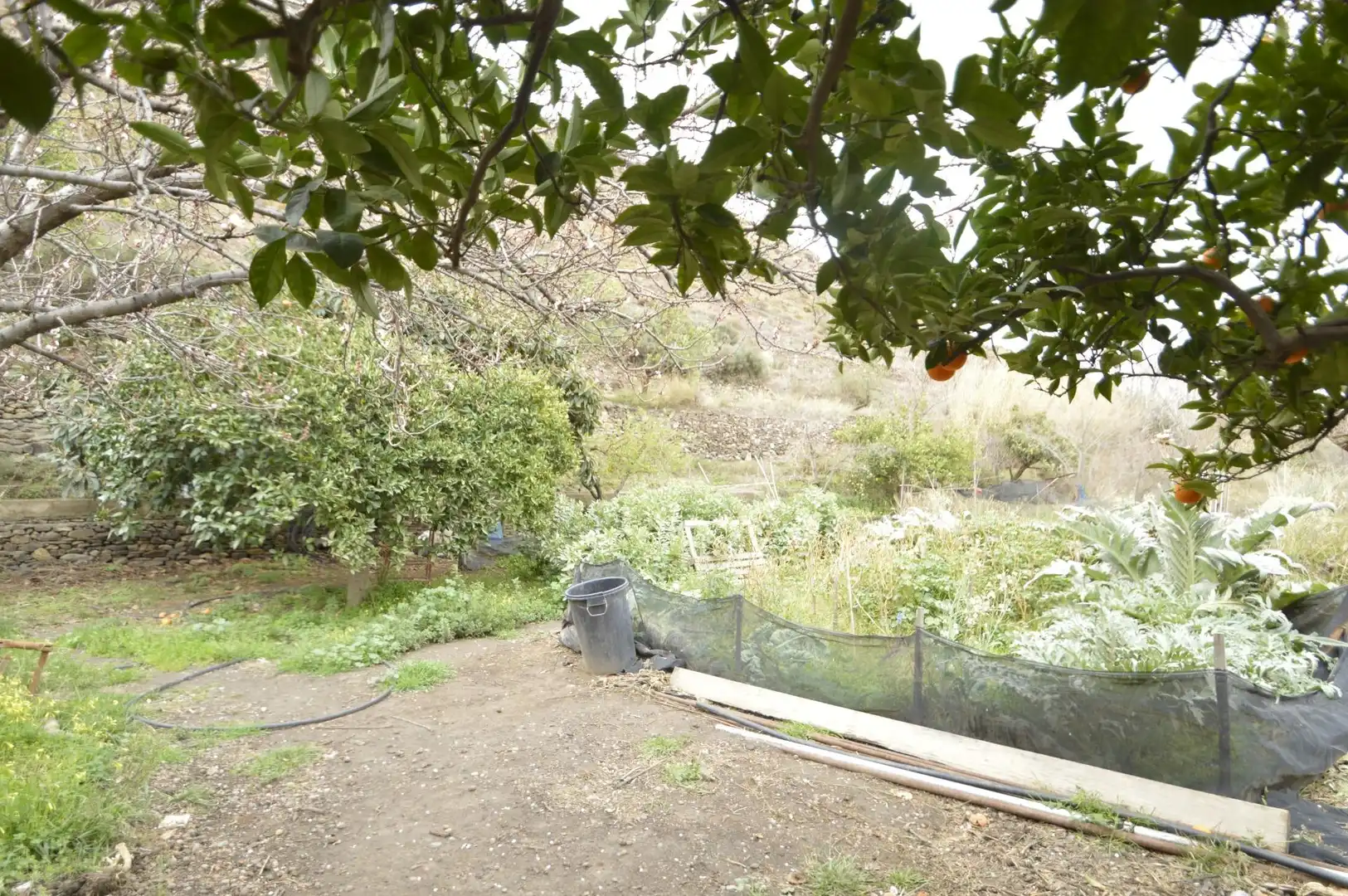Finca rústica en venta en Gérgal