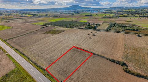 Terreno en Ariany, imagen 5