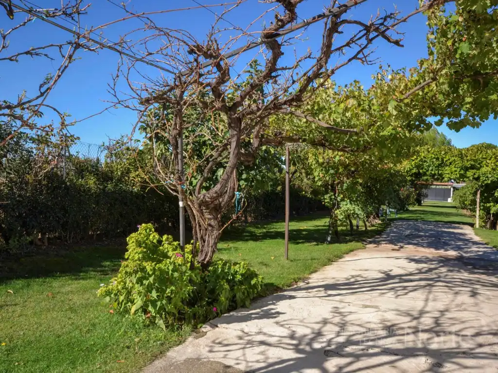 Jardín de Casa o chalet en venta en Fuente El Saz de Jarama, Madrid