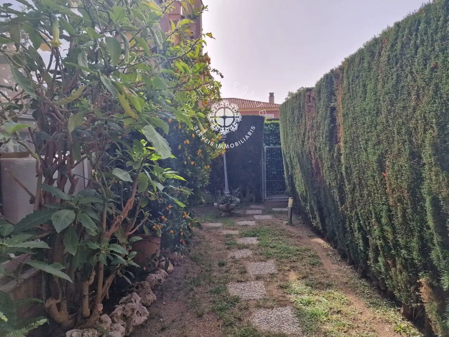 Villa avec piscine à vendre à Aristides Maiol, imagen 7