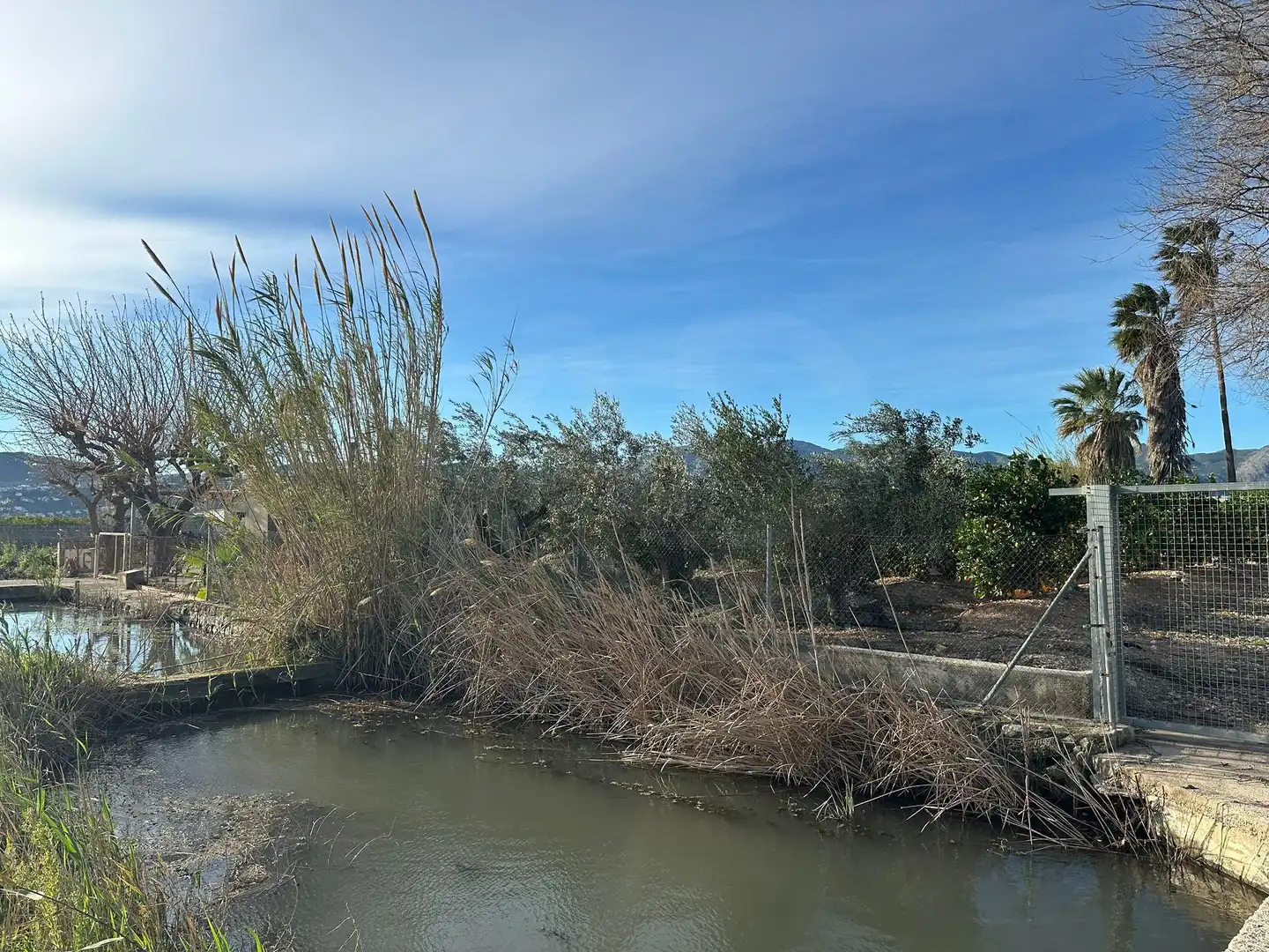 Lands and plots for sale in Pego, imagen 13