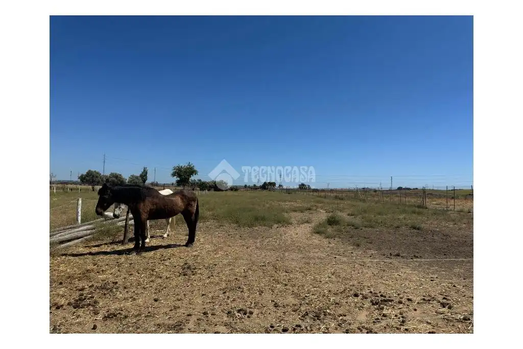 Terreno rústico en venta en Las Torres - Guadalupe, imagen 40