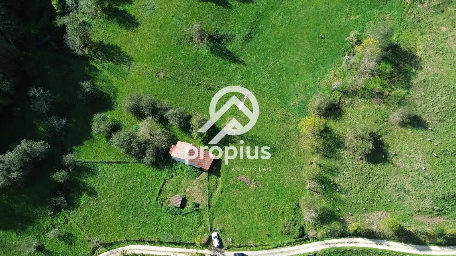 Rural land for sale in Inguanzo, imagen 20