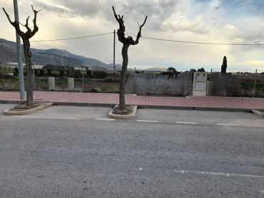 Terrenos y solares en venta en los lisos