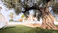 Jardí de Casa o xalet en venda en Deltebre amb Calefacció, Terrassa i Piscina