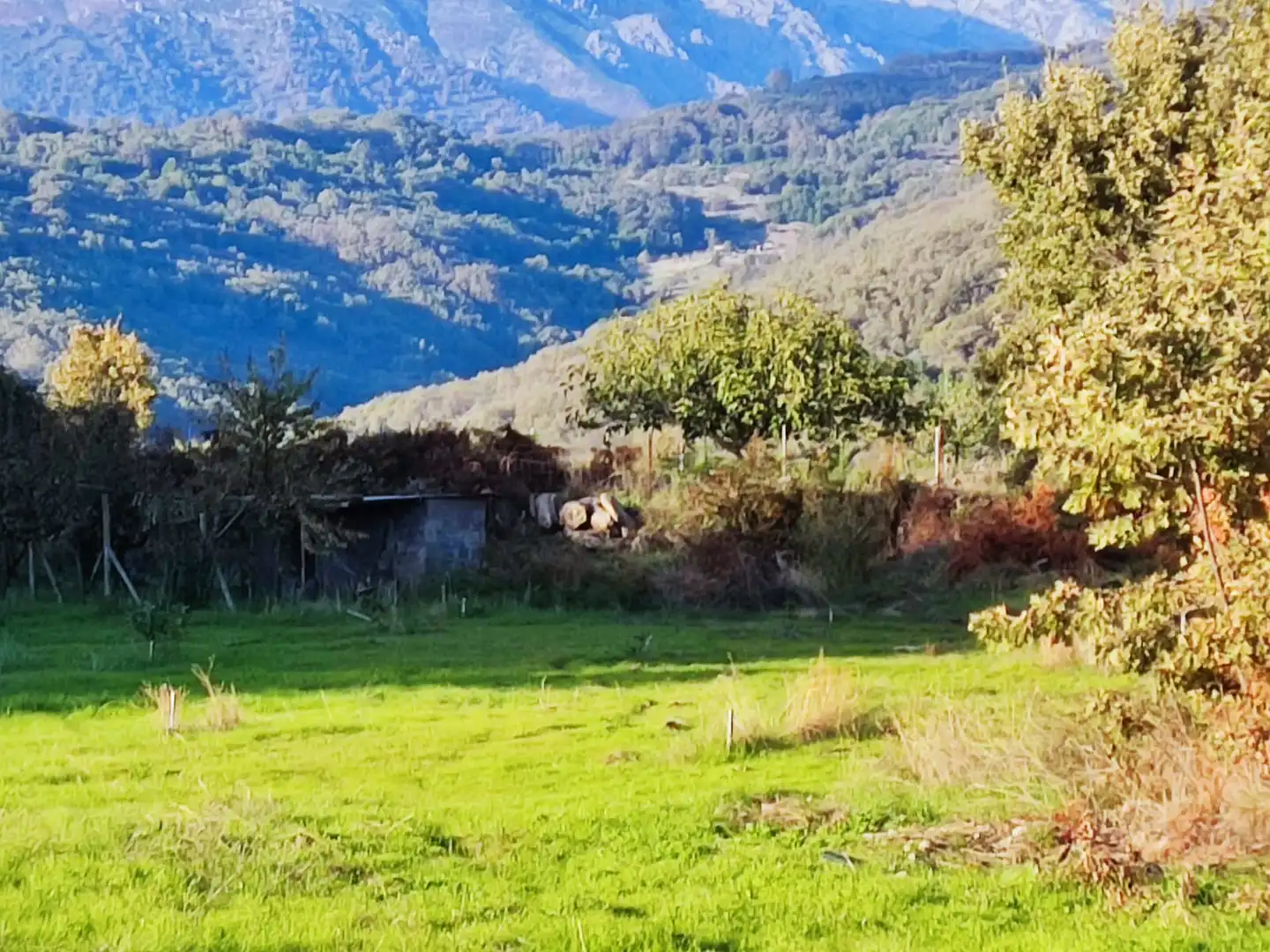 Terreni e lotti in vendita a Avenida de la Vera 17, imagen 38