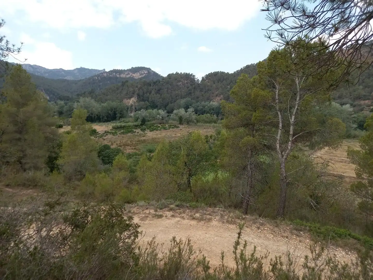 Terrenys i solars en venda a Miravet, imagen 16