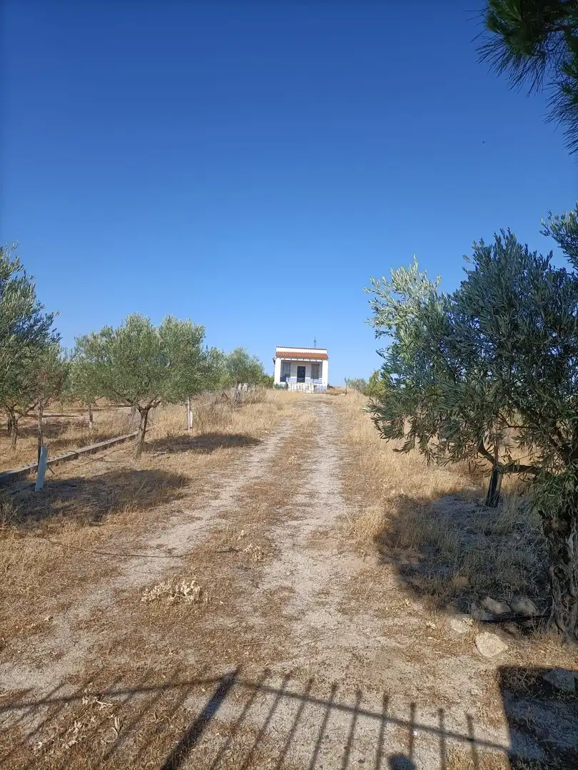 Terreny rústic en venda a Orgaz
