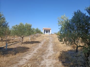 Terreno rustico in vendita a Orgaz