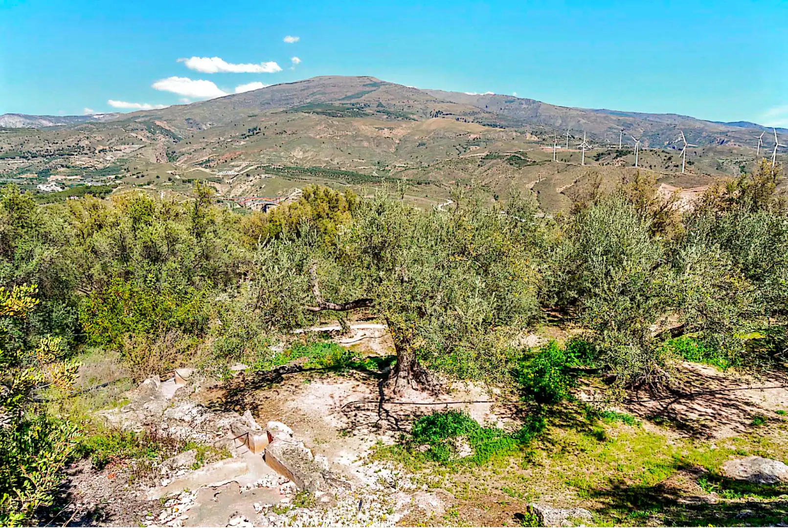 Terrain rustique à vendre à El Pinar, imagen 17