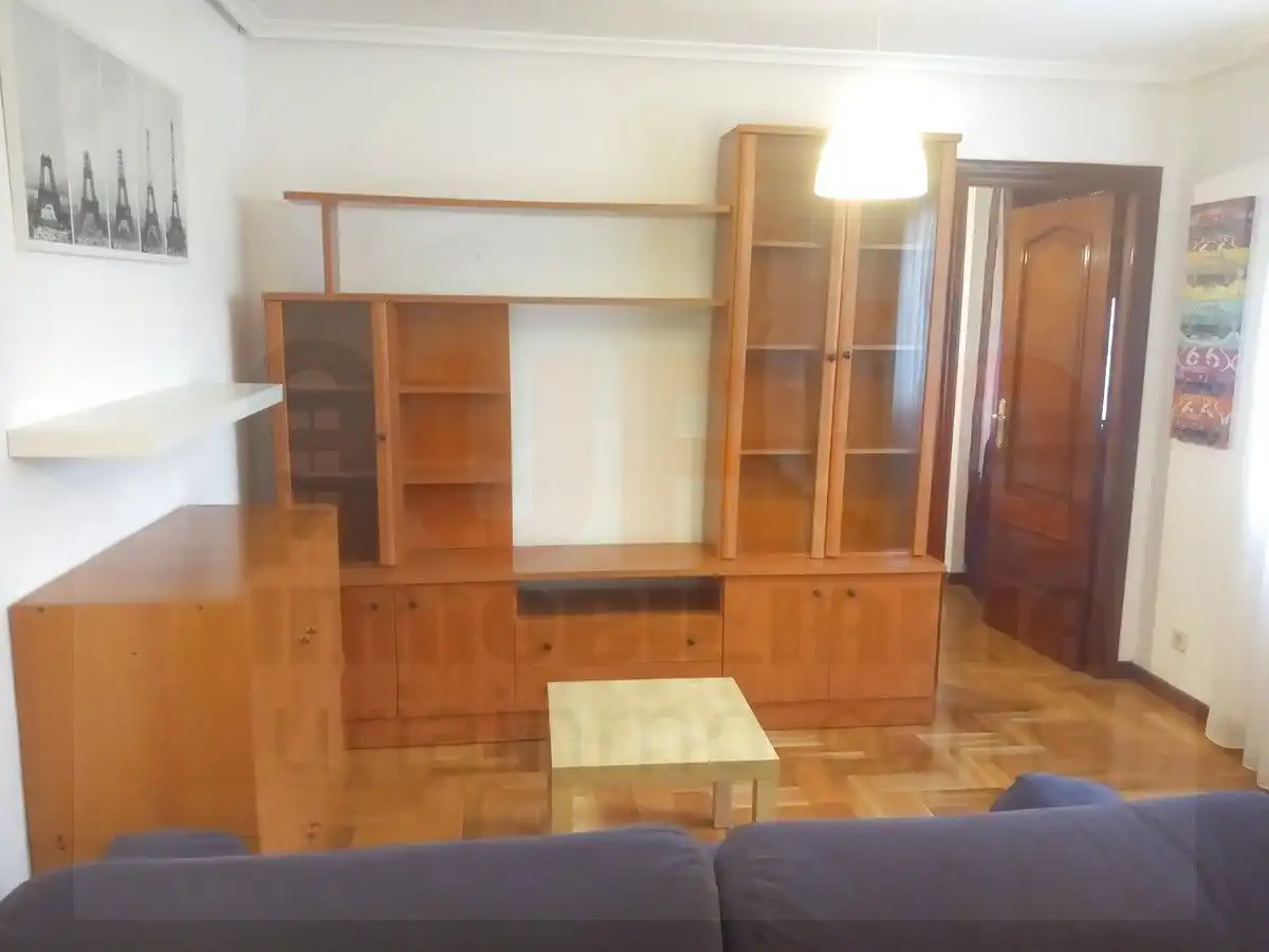 Sala d'estar de Apartament de lloguer en Oviedo  amb Calefacció, Parquet i Moblat
