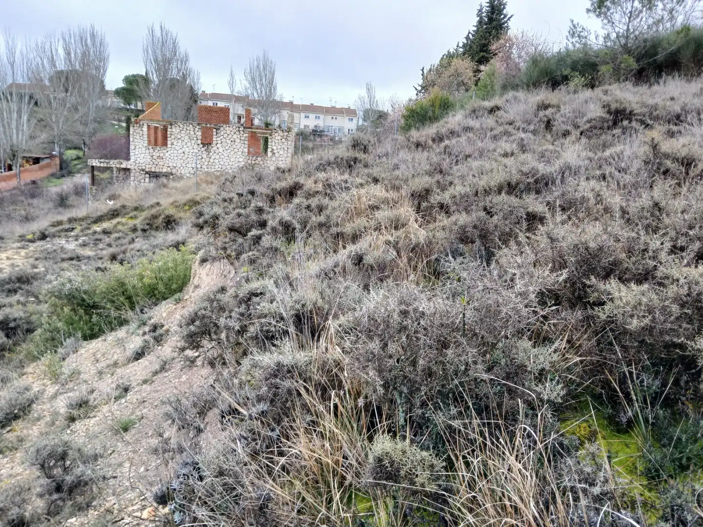 Terreny residencial en venda a Trijueque, imagen 3
