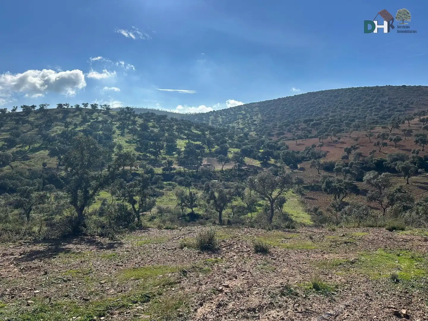 Terreni e lotti in vendita a Carretera de Sevilla - Los Montitos