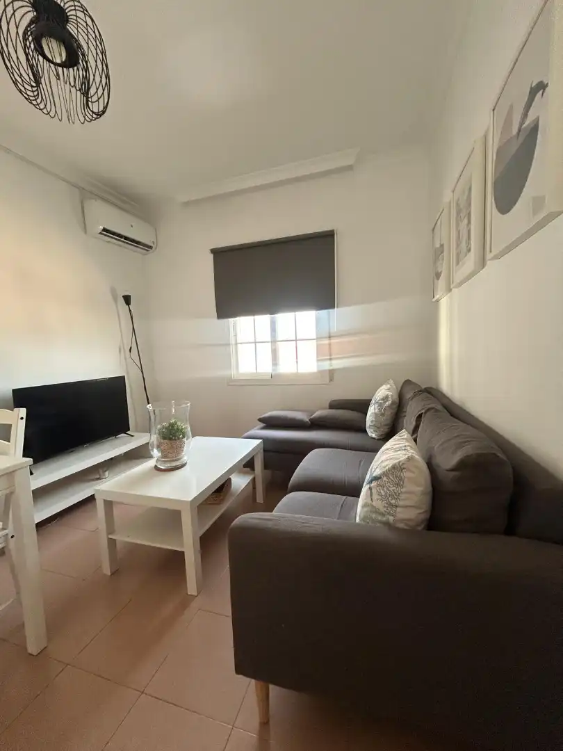 Sala d'estar de Pis en venda en Málaga amb Aire condicionat i Moblat
