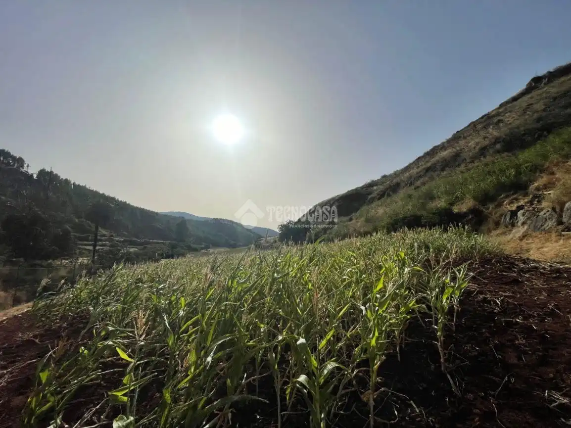Terreno en venta en Gáldar