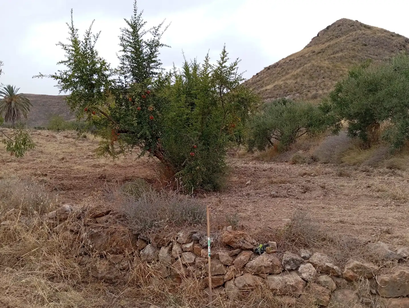 Terreni e lotti in vendita a Bolnuevo, imagen 2