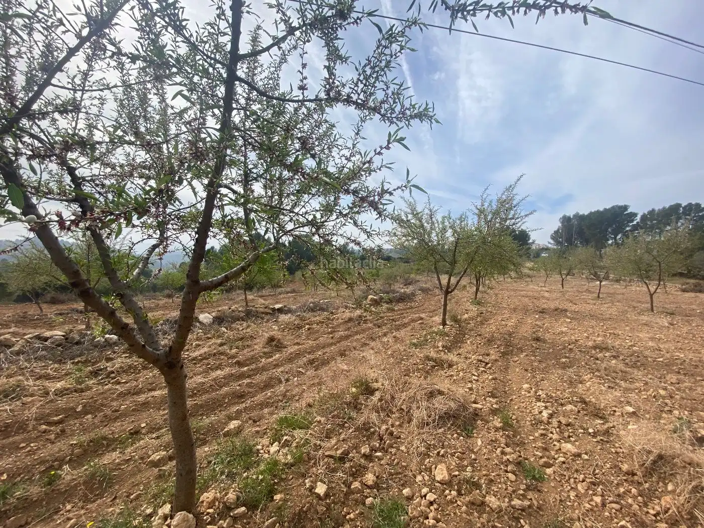 Terreno rústico en venta en Partida el Molinar 10