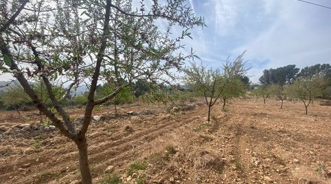 Finca rústica cercana a les useres