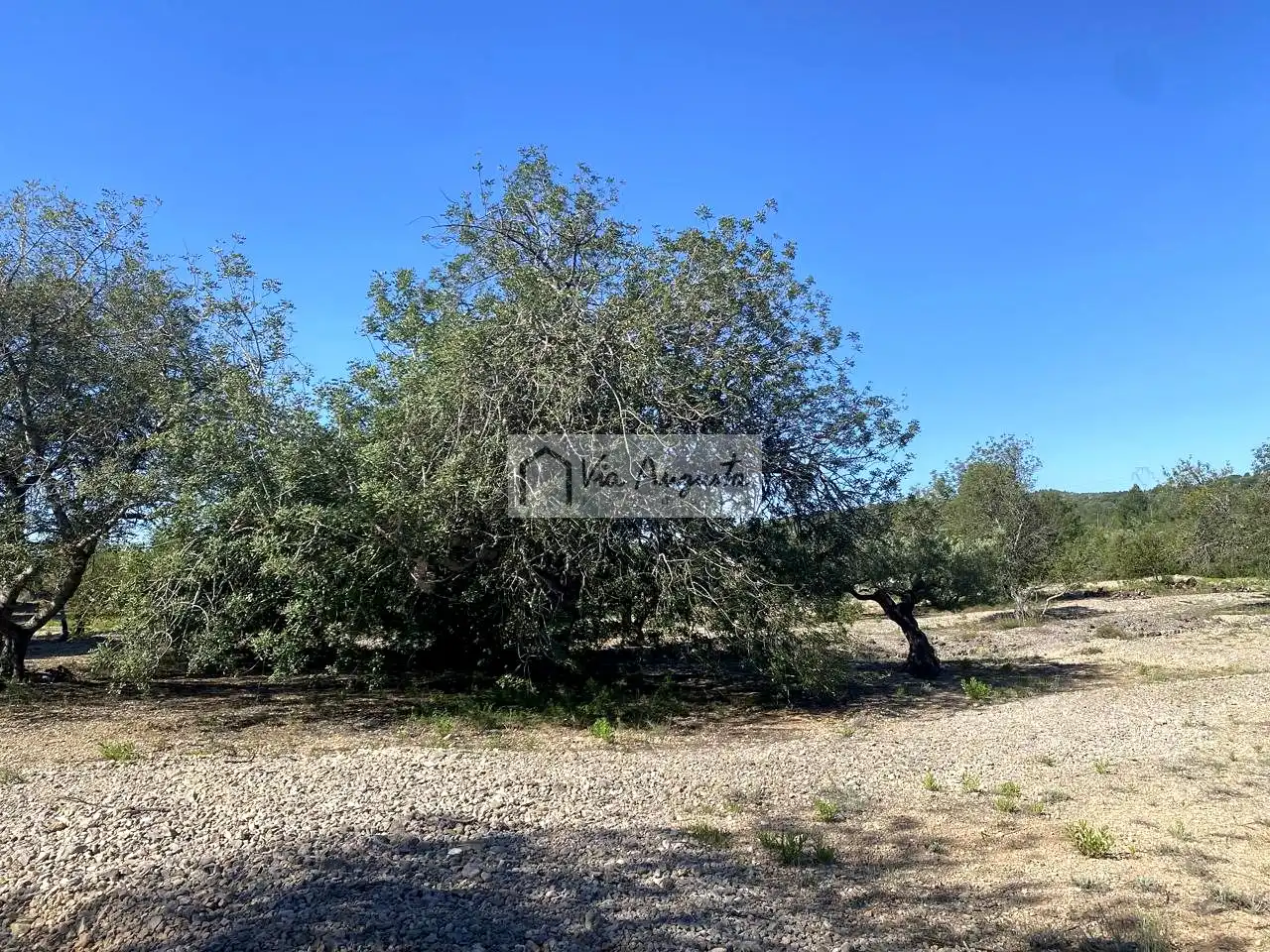 Terreno rustico in vendita a Rabasada, imagen 8