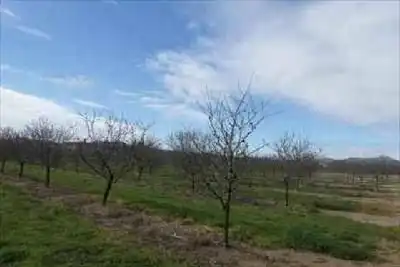 Residencial en venta en calvari, Benissanet