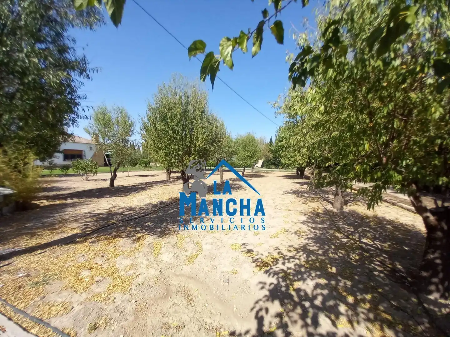Chalet con piscina en venta en Calle DISEMINADOS, imagen 47