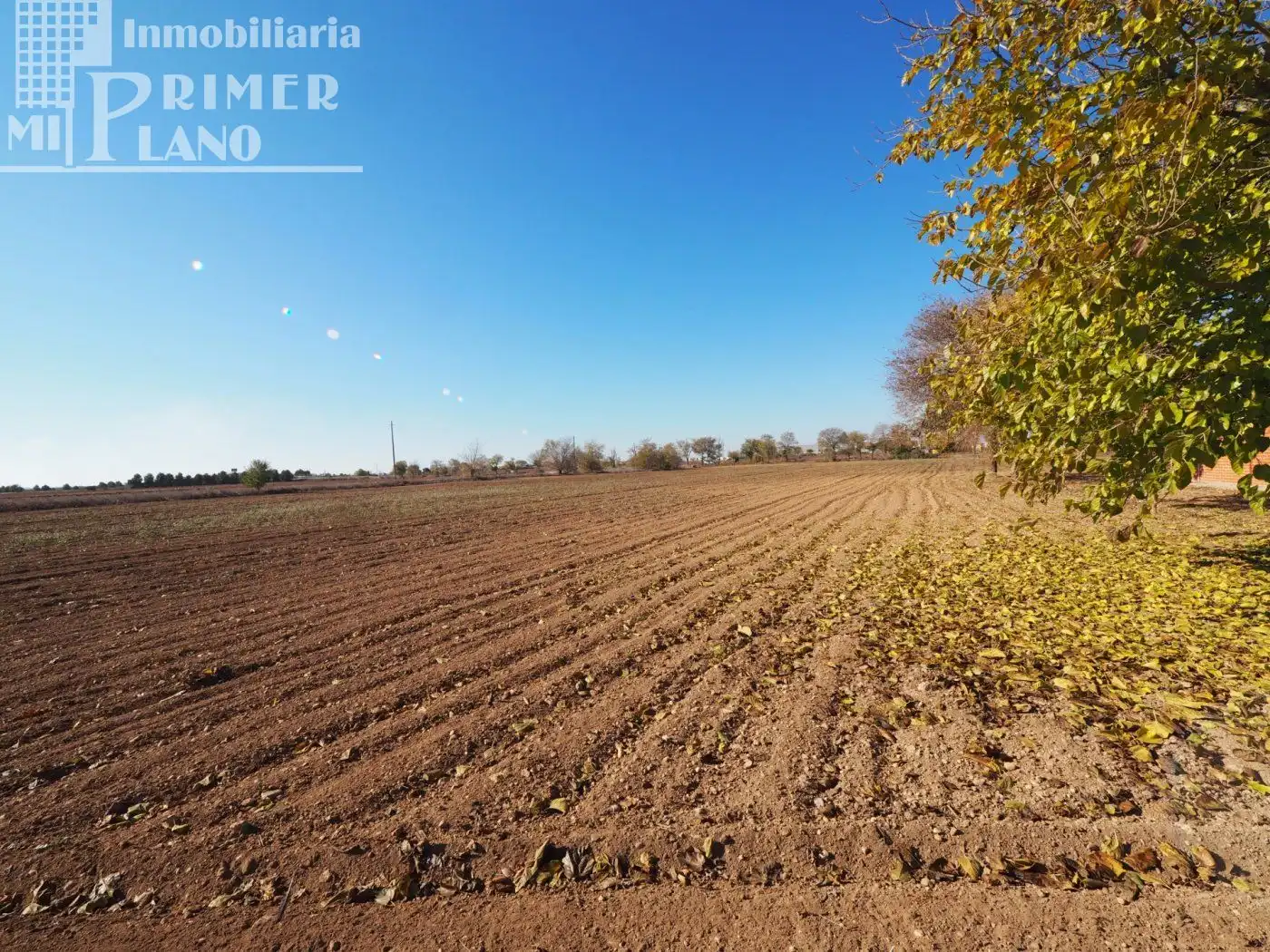 Xalet en venda a Tomelloso, imagen 10