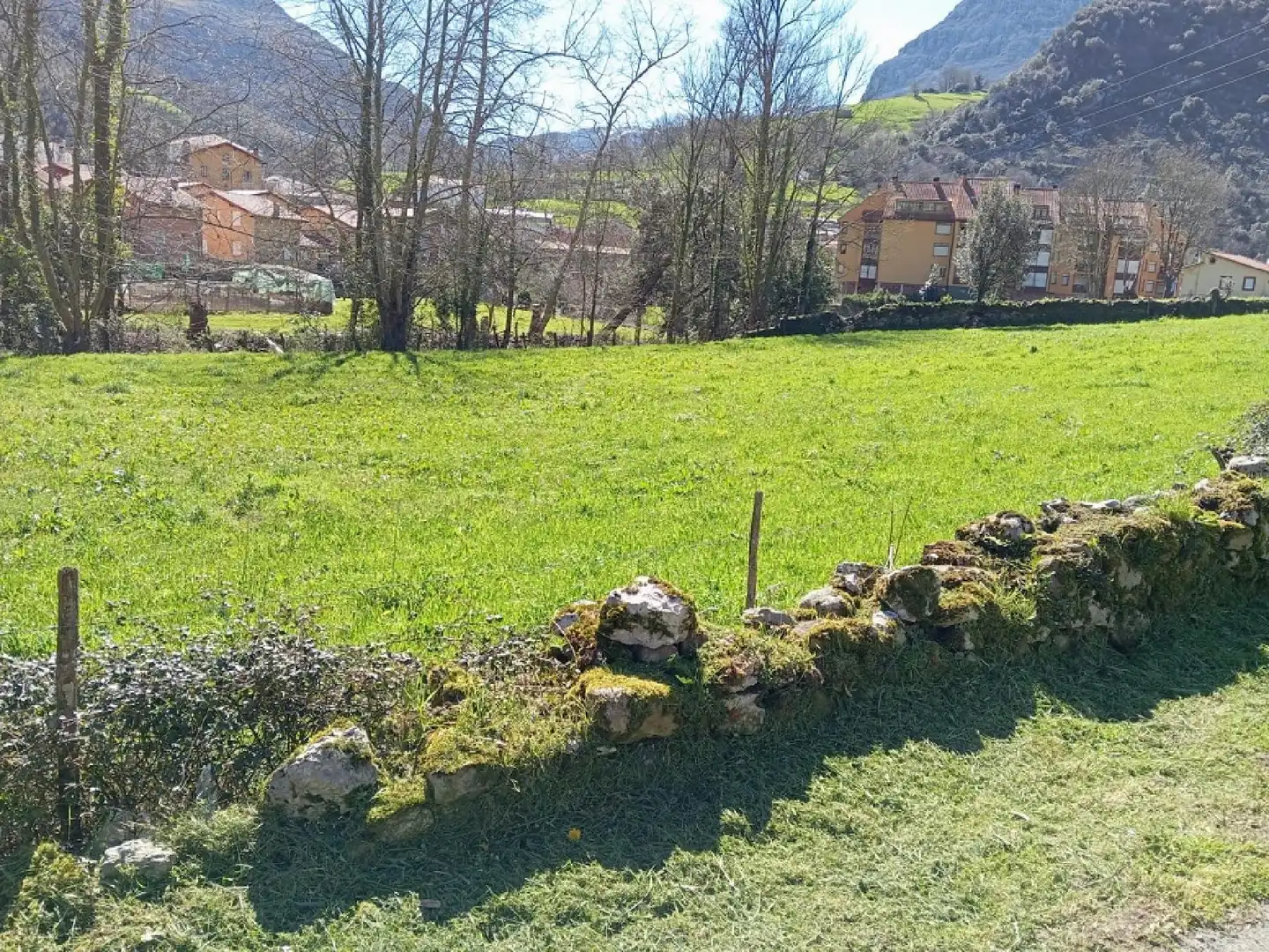 Lands and plots for sale in Ajo, imagen 3