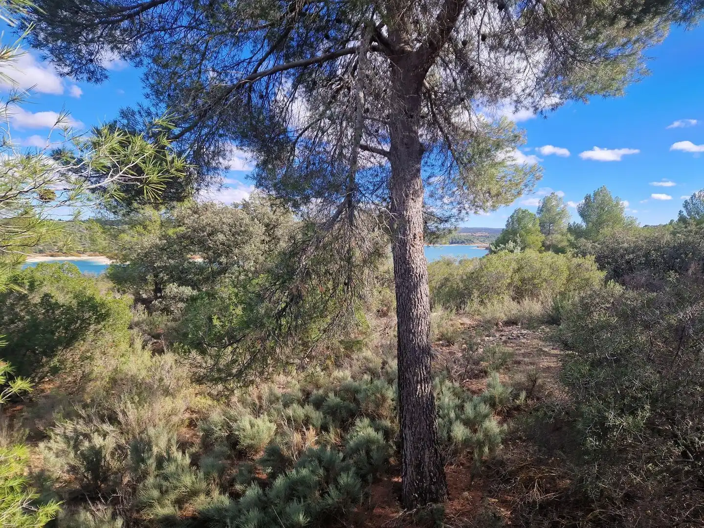 Rural land for sale in Pantano de Peñarroya 0, imagen 24