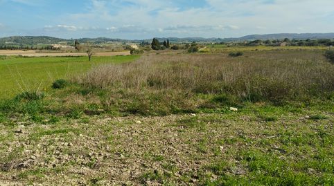 Photo 4 of Land for sale in Algaida, Illes Balears
