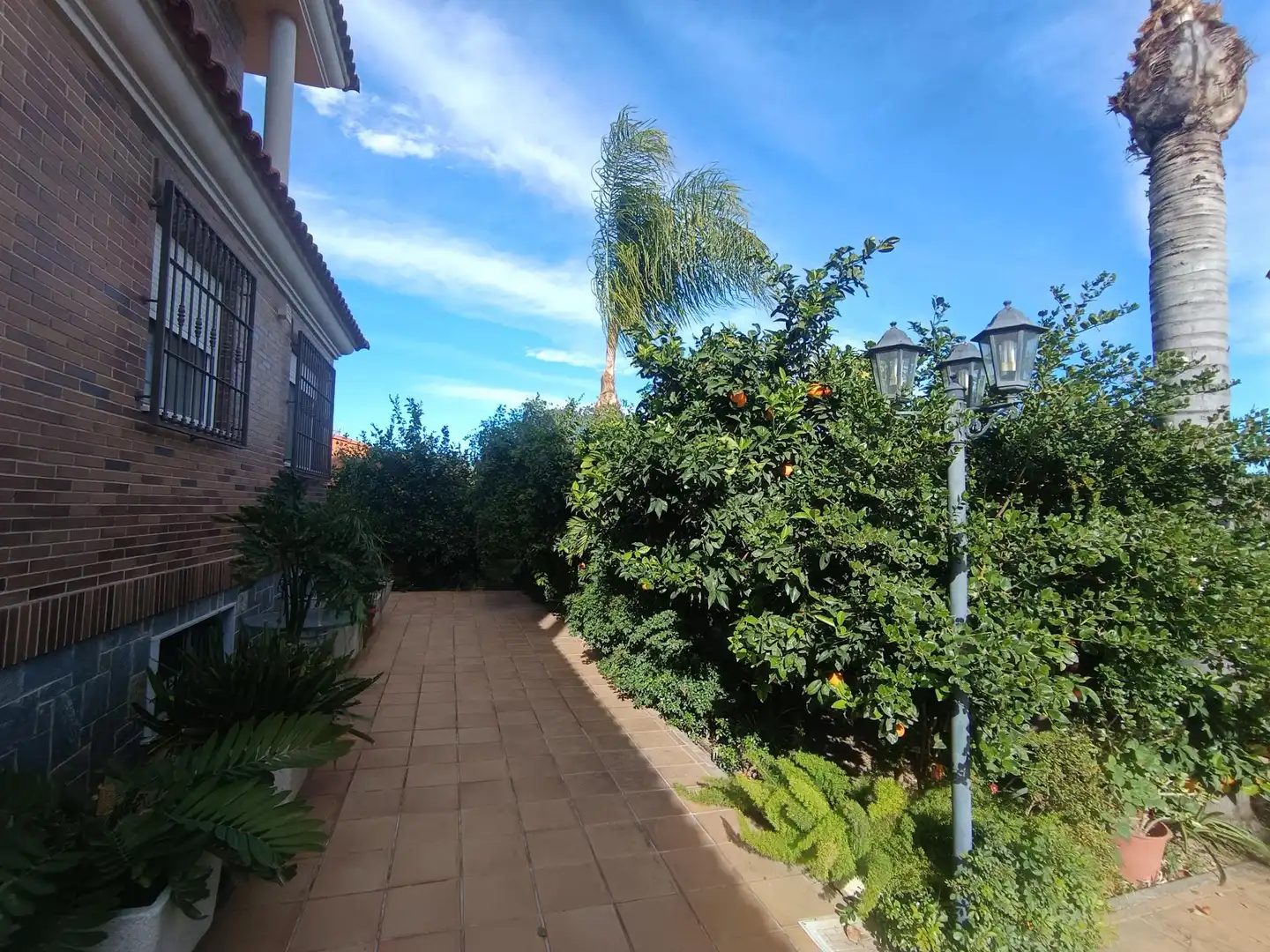 Jardí de Casa o xalet en venda en Murcia amb Aire condicionat, Calefacció i Jardí privat