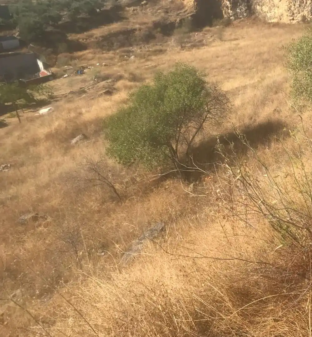 Finca rústica en venda en Orusco de Tajuña