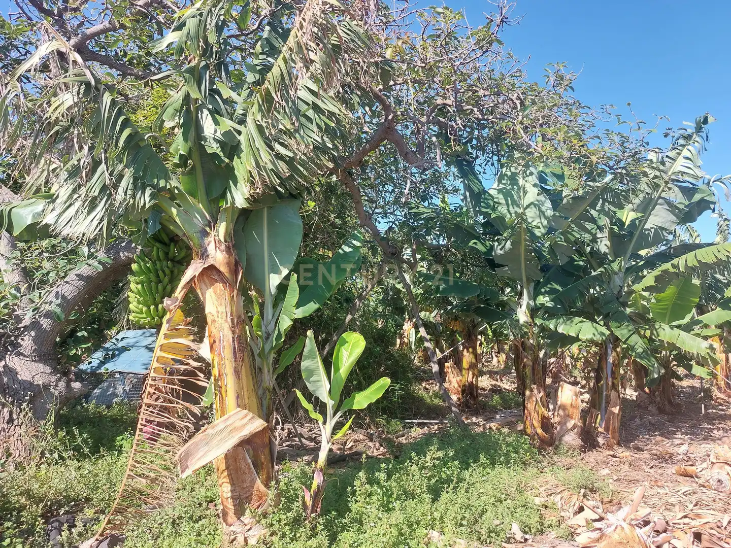 Land for sale in San Cristóbal de la Laguna