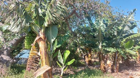 Foto 5 de Terreno en venta en Valle de Guerra, San Cristóbal de la Laguna
