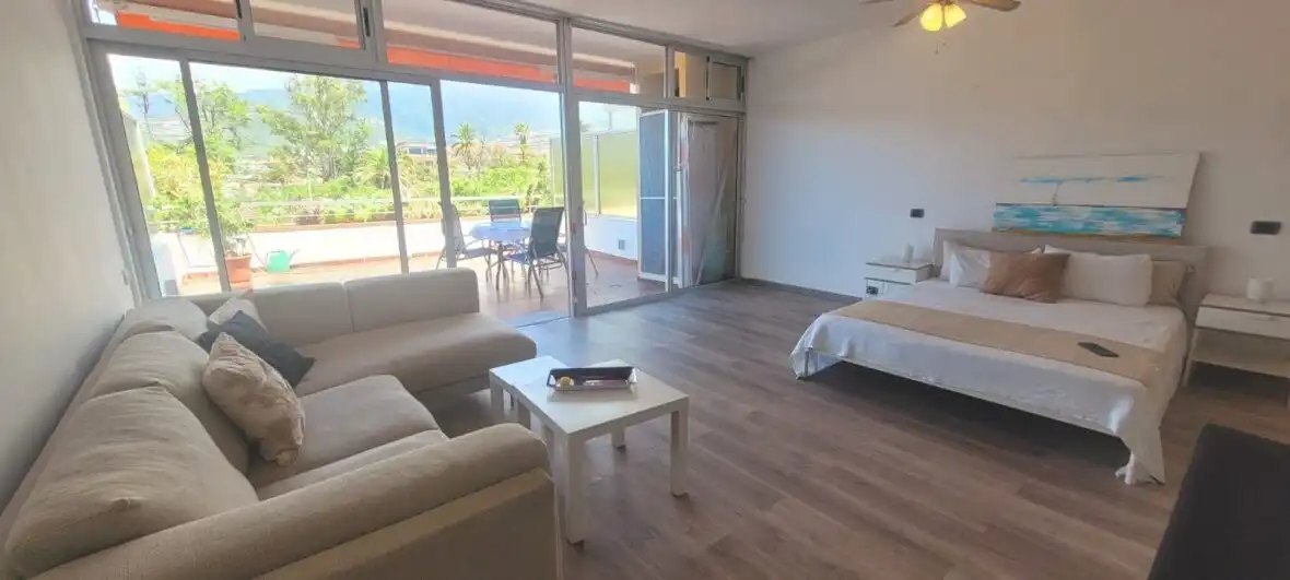 Sala d'estar de Estudi en venda en Puerto de la Cruz amb Terrassa
