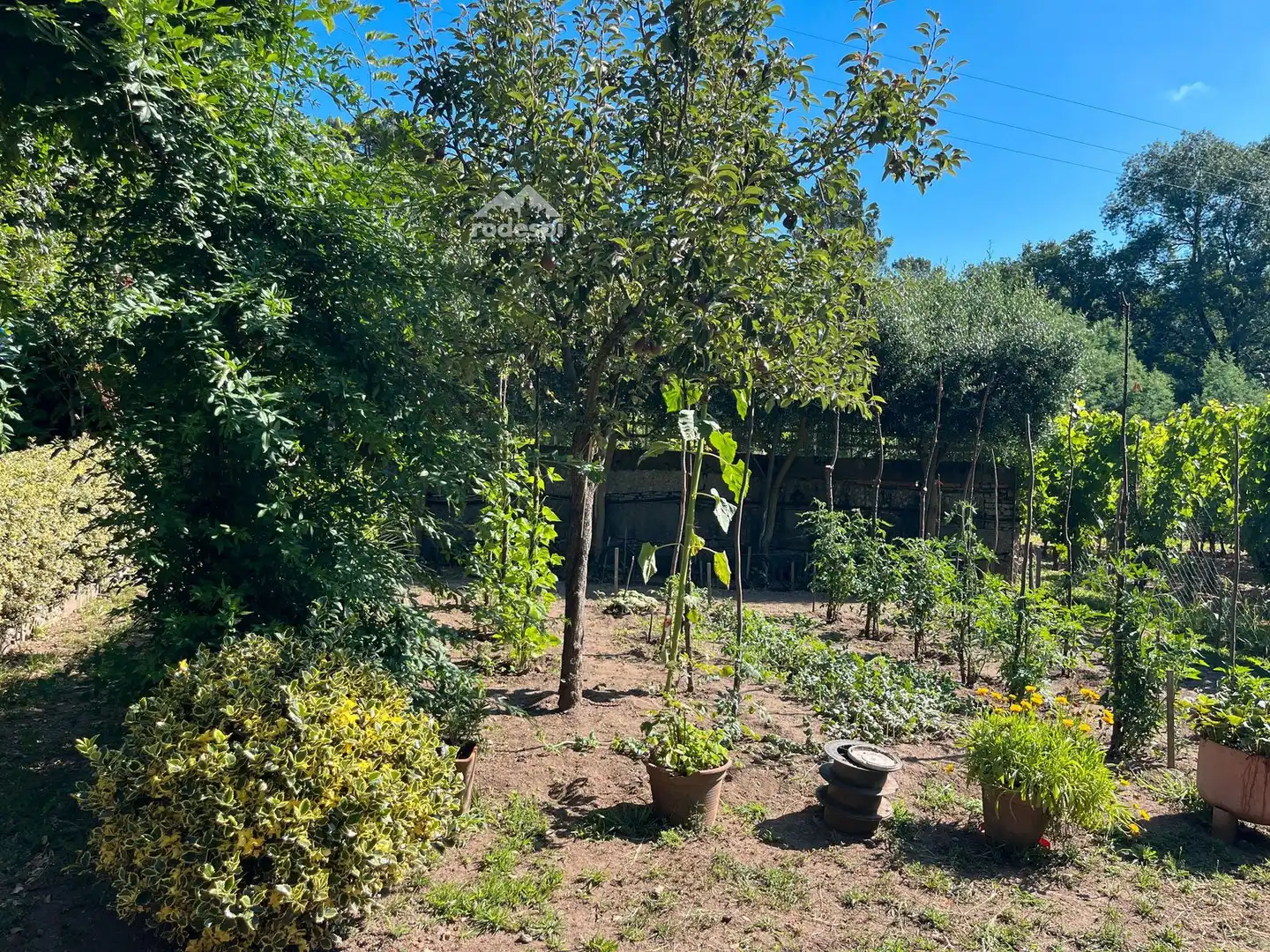 Jardín de Casa o chalet en venta en Beade  con Trastero, Piscina y Amueblado