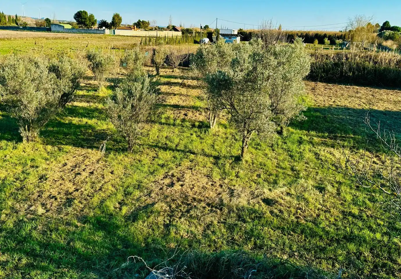 Finca rústica en venta en Tudela con Jardín privado