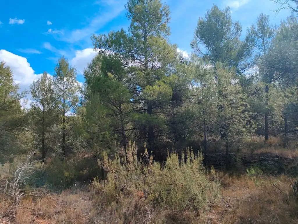 Terreni e lotti in vendita a La Portellada, imagen 9
