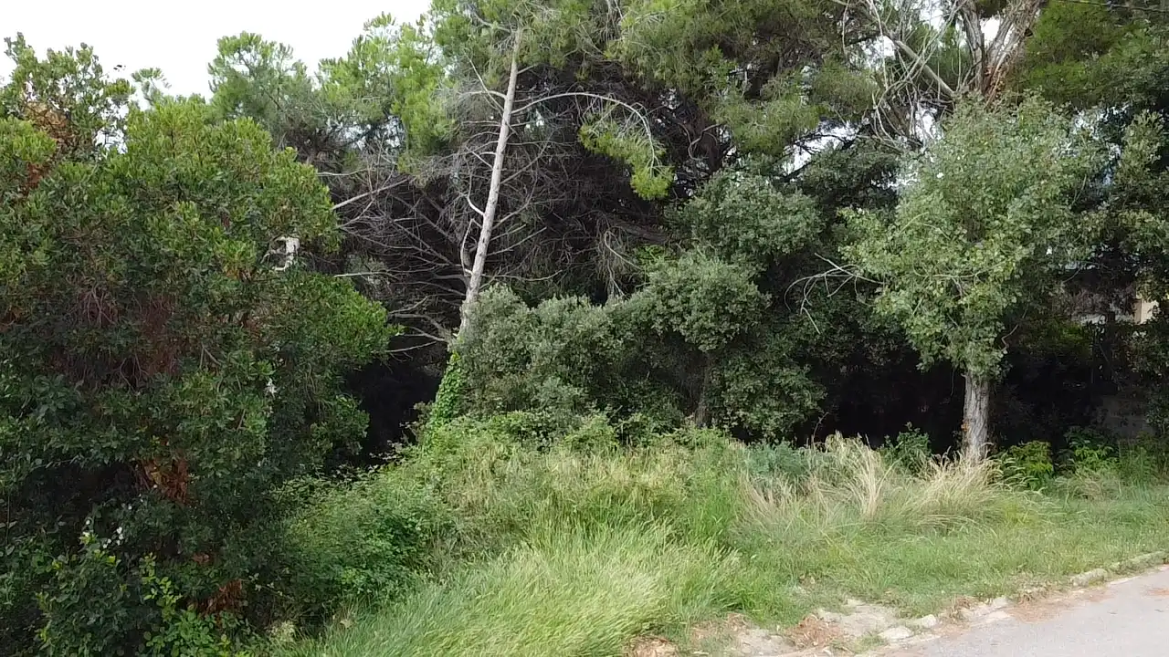 Wohnbaugrundstück zum Verkauf in Cànoves I Samalús, imagen 5