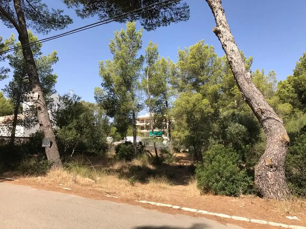 Terrenys i solars en venda a Betlem